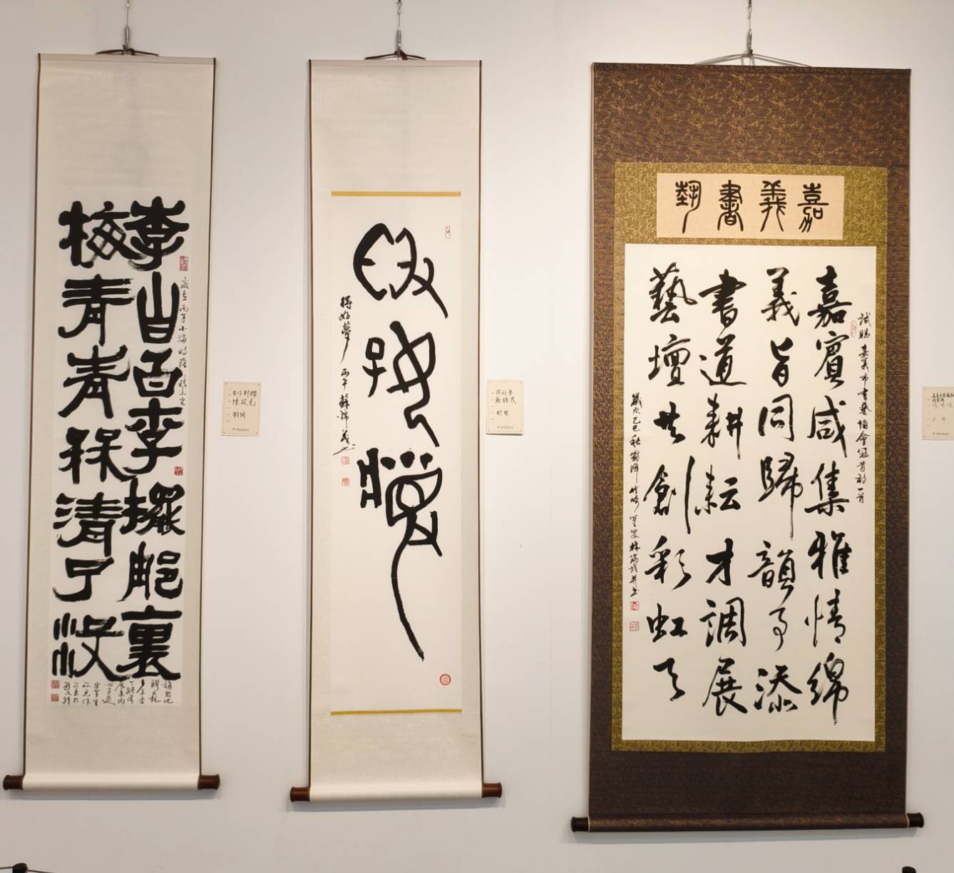 書藝舒心－嘉義市書藝協會115年會員聯展