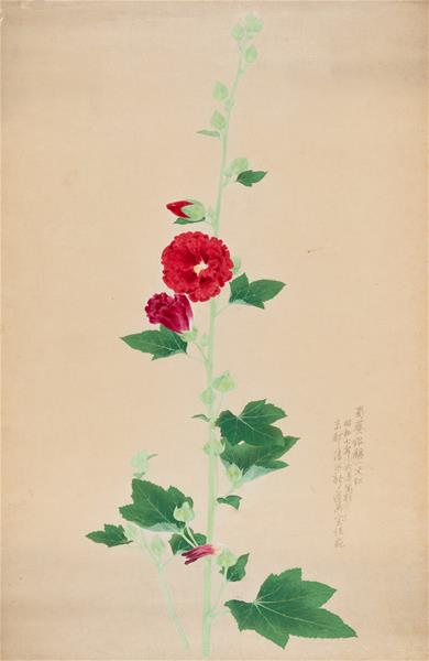 林玉山 蜀葵 79.4×51.5cm 1935