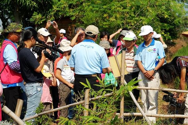 講師田野植物解說