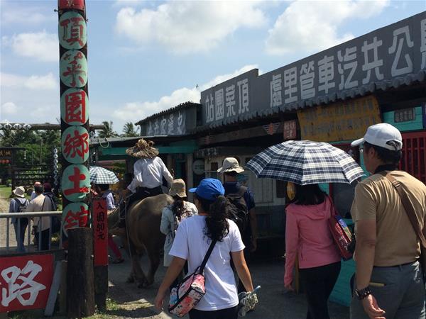 參觀頂菜園鄉土館